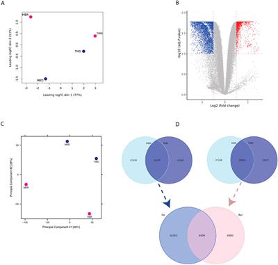 Multi-omic analysis of longitudinal acute myeloid leukemia patient samples reveals potential prognostic markers linked to disease progression